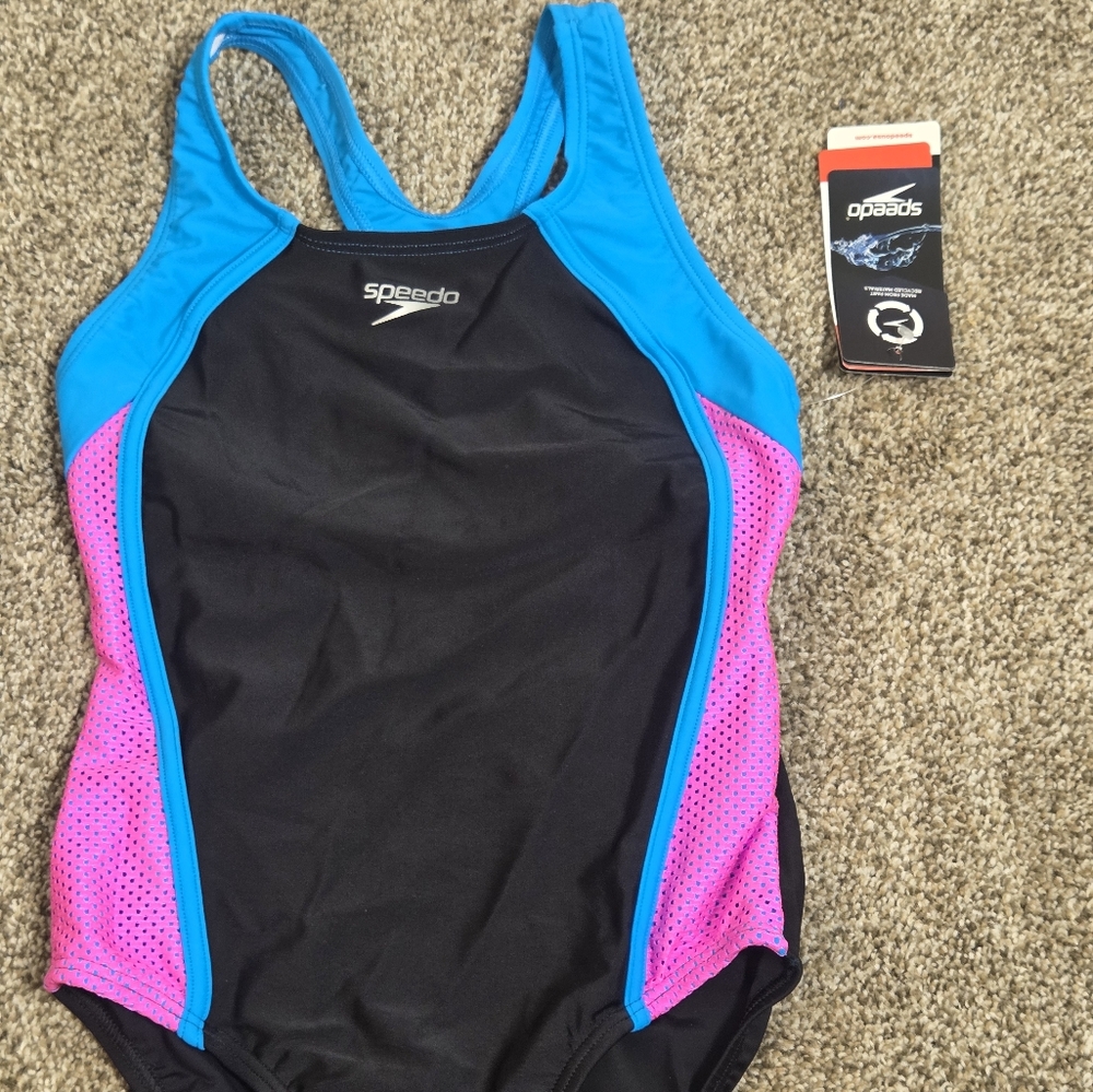 Speedo Women's Swimwear - Black, Blue, and Pink